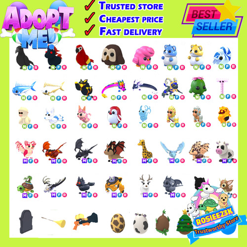 Adopt your pet from - adopt,