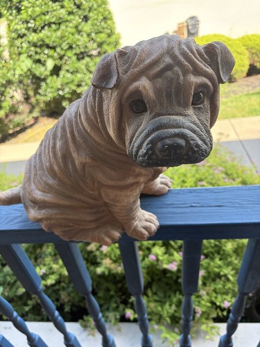 Vintage shar pei - pei, dog