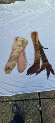 Vintage 1930s 1940s real - 1940s, fox