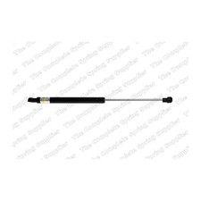 Bonnet gas strut - bonnet,