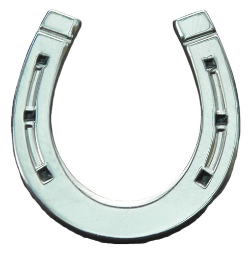 Lucky horse shoe pin - horse, badge
