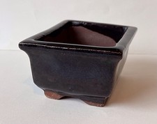 Small Japanese Ceramic Bonsai