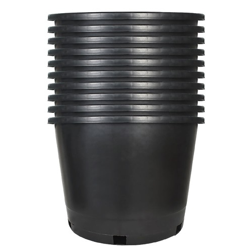 Large gallon plant flower - large,