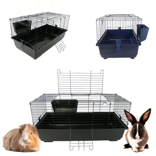 Rabbit guinea pig - indoor, cages