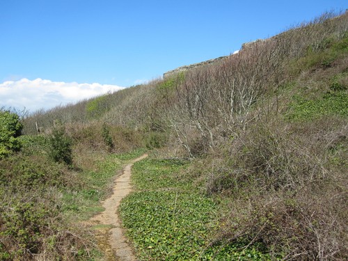 Old blackgang niton road - old, to