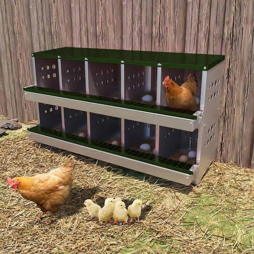 Holes chicken nesting - 10,