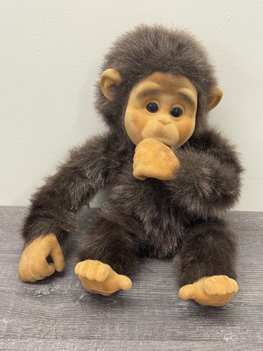 Hosung little monkey - monkey, lost