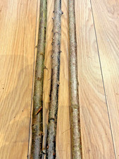 one Wood Hazel and 2  is