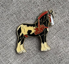 Horse Riding Equestrian