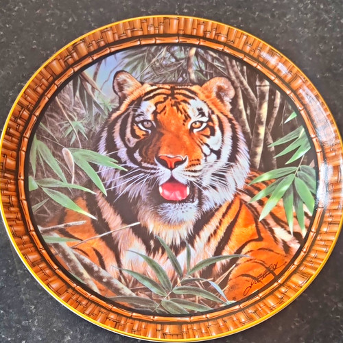Royal doulton tiger watch - doulton,