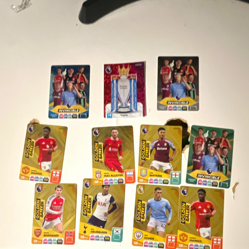Panini premier league - premier, 2024-25