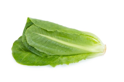 Lettuce winter density seeds - winter,