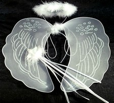 Nativity Angel Fairy  Wings