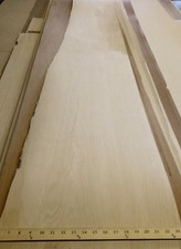 Birch wood veneer - , 95"
