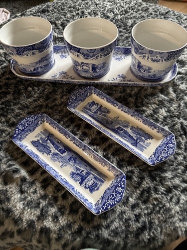 Beautiful spode herb - spode, small