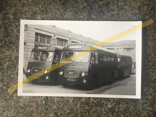 Buses photo metropolitan - buses,