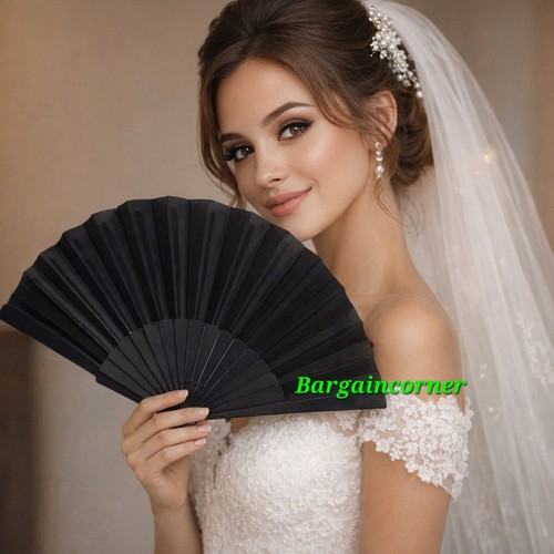 Hand fan portable - portable, summer