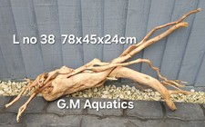 Red moor / Azalea wood L No 38  78x45x24cm