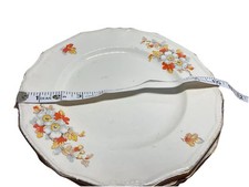 Alfred Meakin Plates with