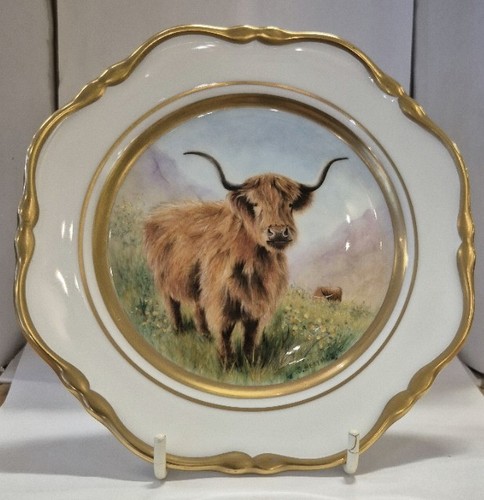 Wedgwood highland cattle - highland,