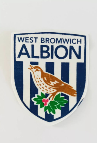 West bromwich albion football - west,
