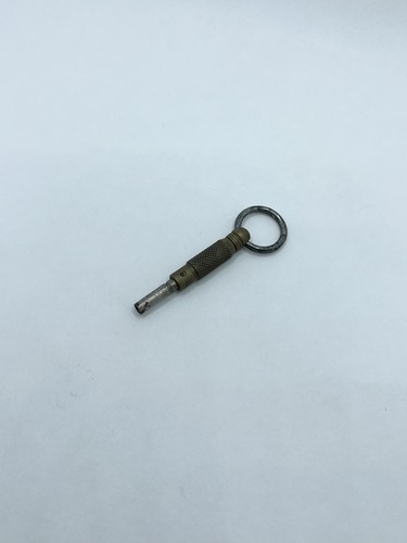 Unusual pocket watch key