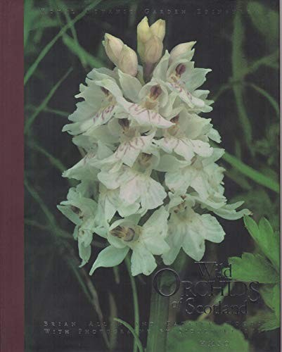 Wild orchids scotland by - wild,