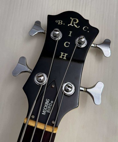Rich mockingbird bass - rich,