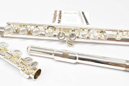 Serviced selmer sfl301 student - serviced,