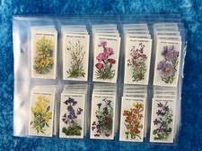 Wills's Alpine Flowers REPRINT