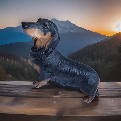 Vintage long haired - long, dachshund