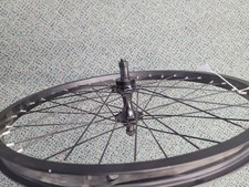 Trident Trike Recumbent Rear