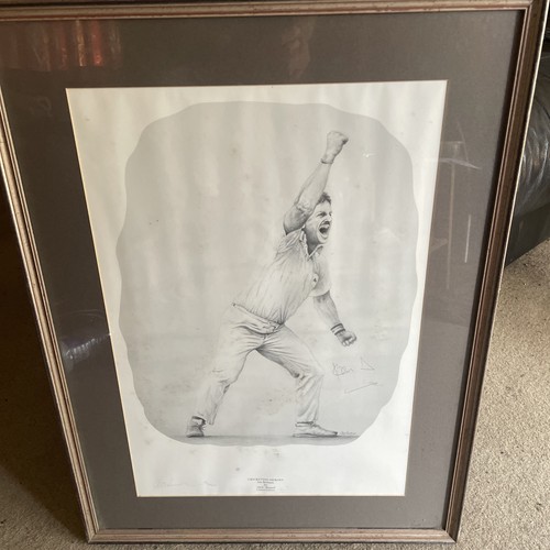 Jack russell cricket heroes - jack,