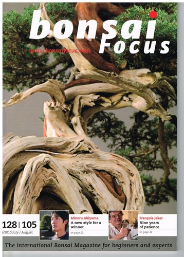 Bonsai focus 105 july - july, aug