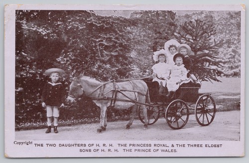 Royal children donkey - royal,