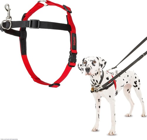 Halti dog harness - harness, front