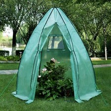 Outdoor Garden Tomato Plant