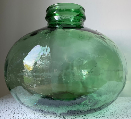 Viresa glass bottle terrarium - glass,