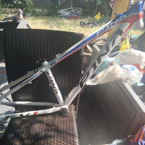 Pinarello pina mtb frame 34cm - pinarello,