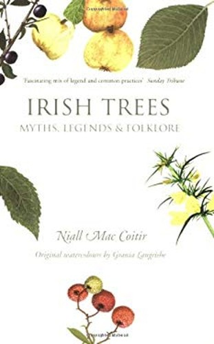 Irish trees myths - trees, myths,