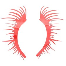  Car Lashes Automotive