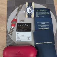 Omega Seamaster Professional