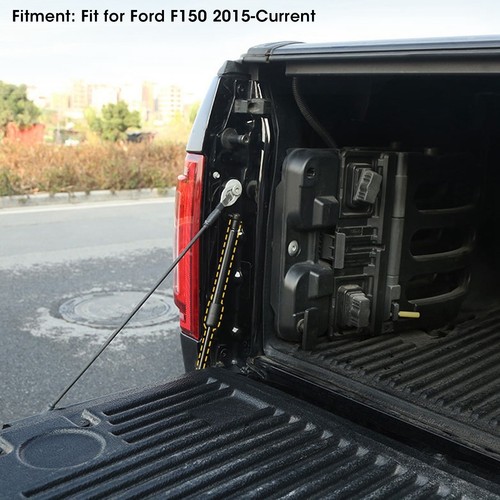 Tailgate assist shock struts - shock,