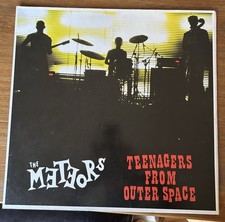 The Meteors Teenagers From
