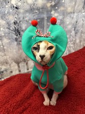 Sphynx Cat Clothes: Elf cotton