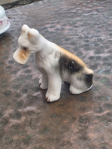 Fox terrier airedale dog - fox,