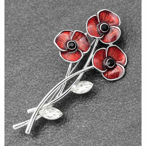 Equilibrium redpoppy posy - redpoppy,