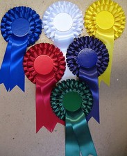 ROSETTES Any Colour - Plain centres for Election 2 tiers Any Quantity