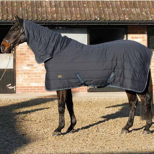 Mark todd navy combo under - mark, rug