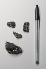 Four Pieces Of Dapedium Fossil Fish From Charmouth. Jurassic Coast.